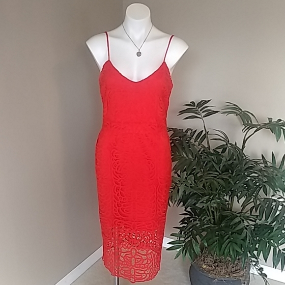 {Bisou Bisou} Lace Dress - Picture 4 of 7